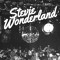 STEVIE WONDERLAND!