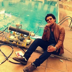 Hazem M.Elhoseny