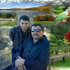 user299883003