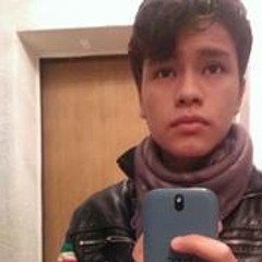 Leonardo Morales Manuelo