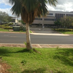 d/dizzleebjamonkubok