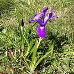 Jacqui Hazard O'Keefe