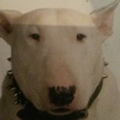 Dominic Schmeltekopf