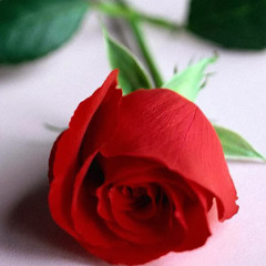 Hala Sameer 2