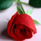 Hala Sameer 2