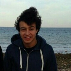 Mohamed Zayed