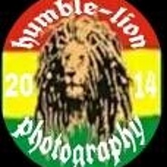 Humblelion Photos