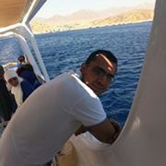 El Sayed El Sakhawy