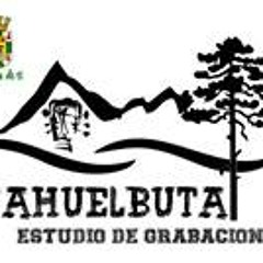 Estudio Nahuelbuta