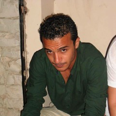 Wael Harb II