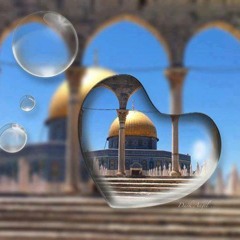 Alaa Salem 3