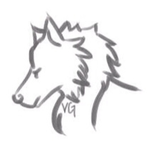VargenGambit’s avatar