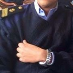 Ahmed Lashin II
