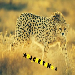 DJ-CHEETAH