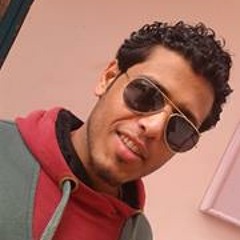 Walid Sayed Khalifa