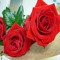 Amna Ahmed 24