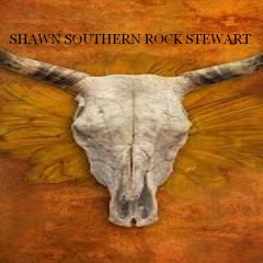 ShawnSouthernRockStewart