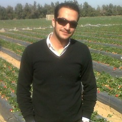 Ahmad Ali Elmesllamy