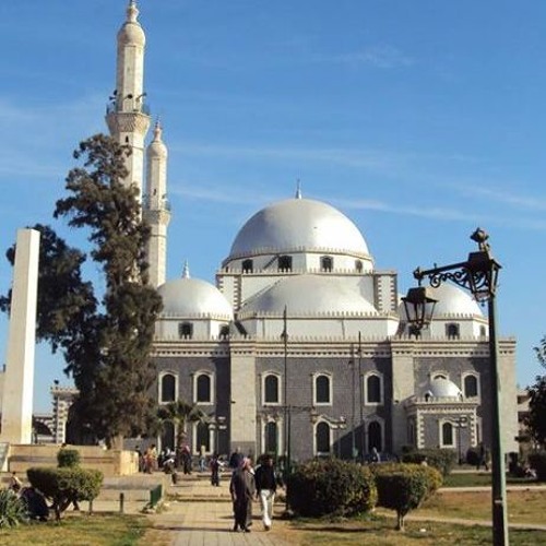 موال .. ياهل العارفه أبو رياح