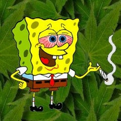kushbob