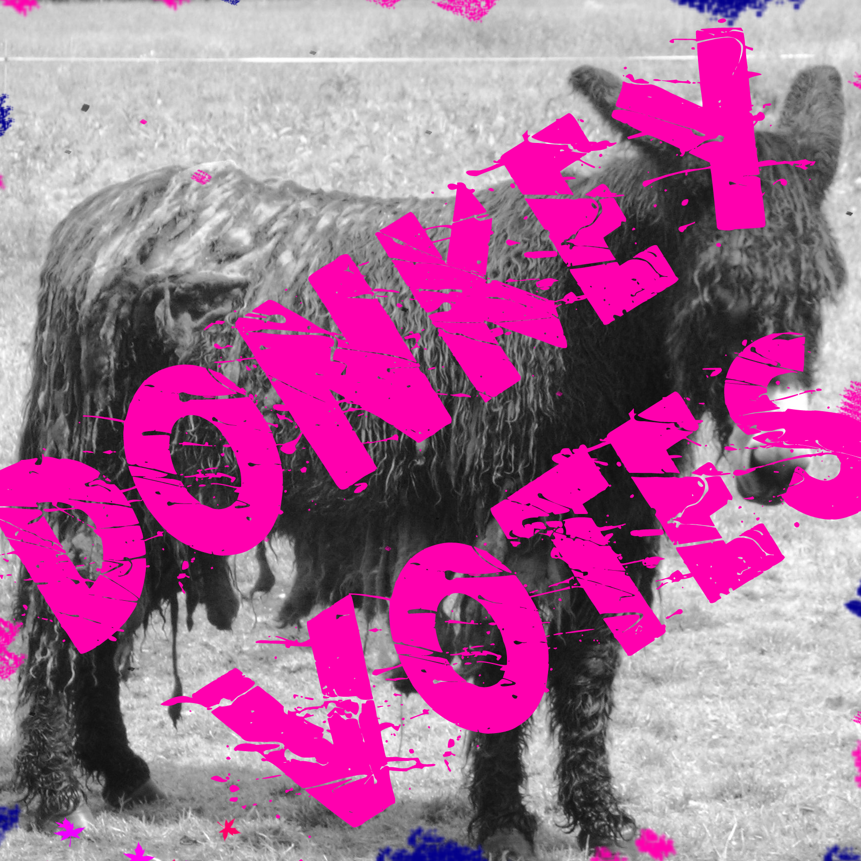 Donkey Votes podcast artwork