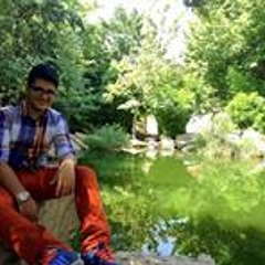 Quattroporte Ari Yaan