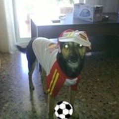 Toby Perales Rodriguez