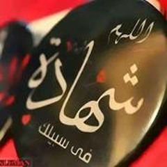 Muslim Ahmad 2