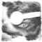 circling_sounds