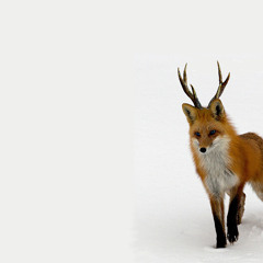 Horned Fox