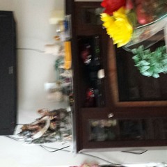 kanchan