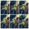 Love Aliyah