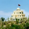 Cacti in the Castle