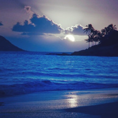 02 Los sepultureros - Lagrimas de sangre