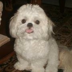 Richy BigStudd Ramirez