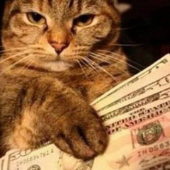 dj money cat