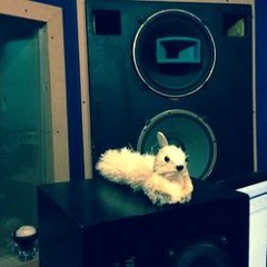 Nothing Like The Night