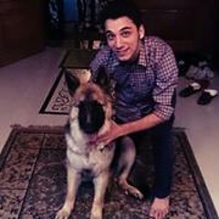 Mostafa Elgamhody