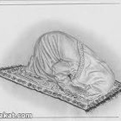 Reda Mohamed Ebrahim