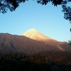 Jorge Dela Mora Wolburg