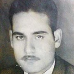 Tamer salem