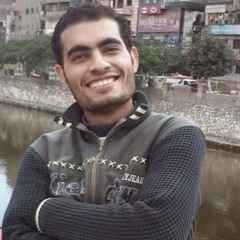 Romany habib 1