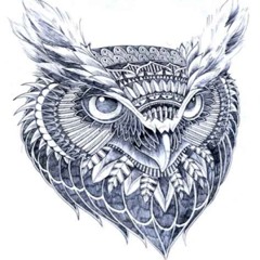 Ga'hooleOwl