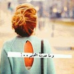 user498408128