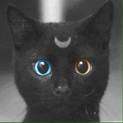 Meowwwww