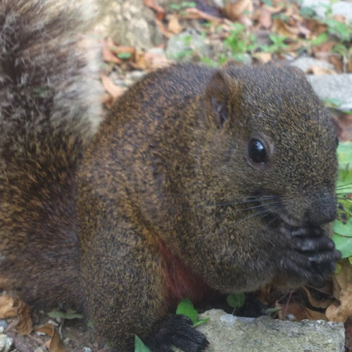 Two Worlds Menu Intro  -Kyra(Ambermoon)