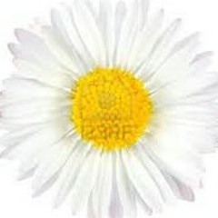 user6412501
