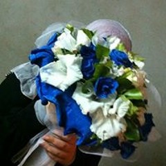 naglaa hamdy