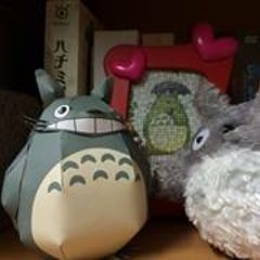 Totoro Koy