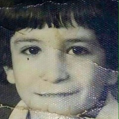 badee shoman